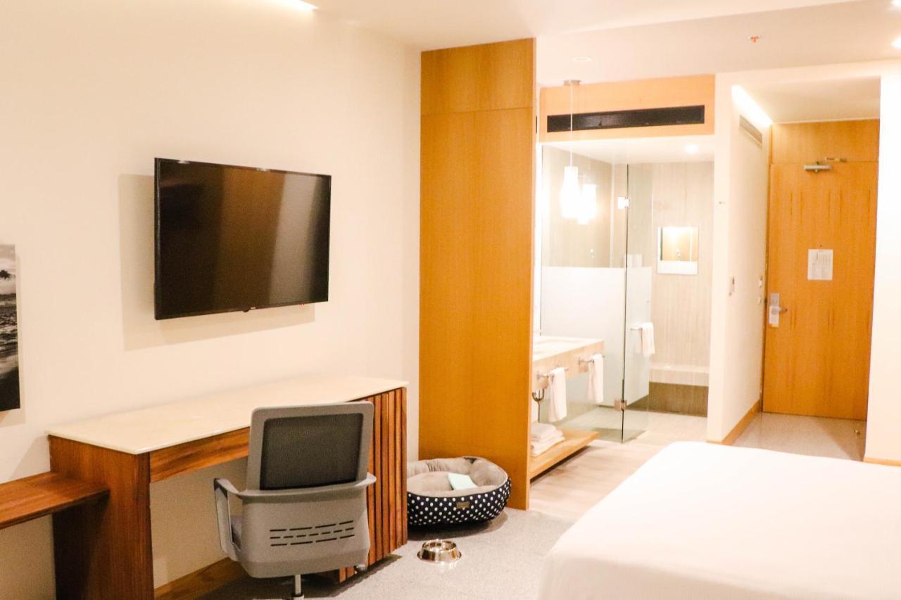 Hotel Mio Vallarta Unique & Different- Adults Only ปูแอร์โตบาญาร์ตา ภายนอก รูปภาพ A room at the hotel